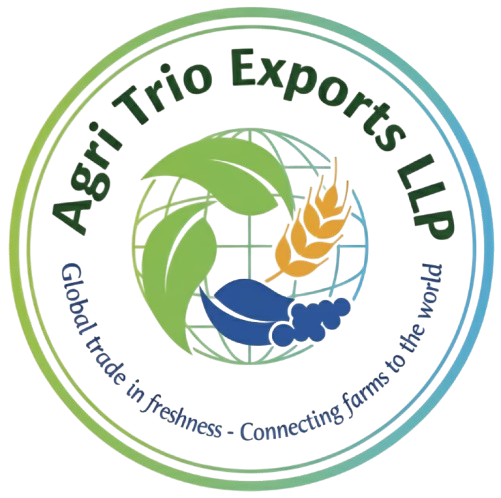 whatsapp image 2025 11 11 at 12.00.55 pm removebg preview