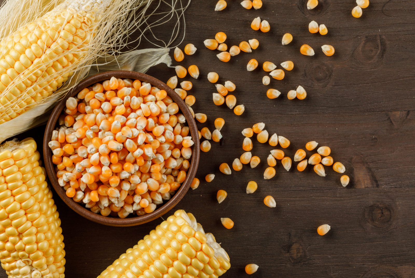 corn grains in a clay plate with cobs flat lay on a wooden background