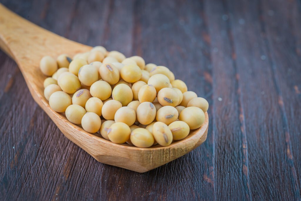 soy beans