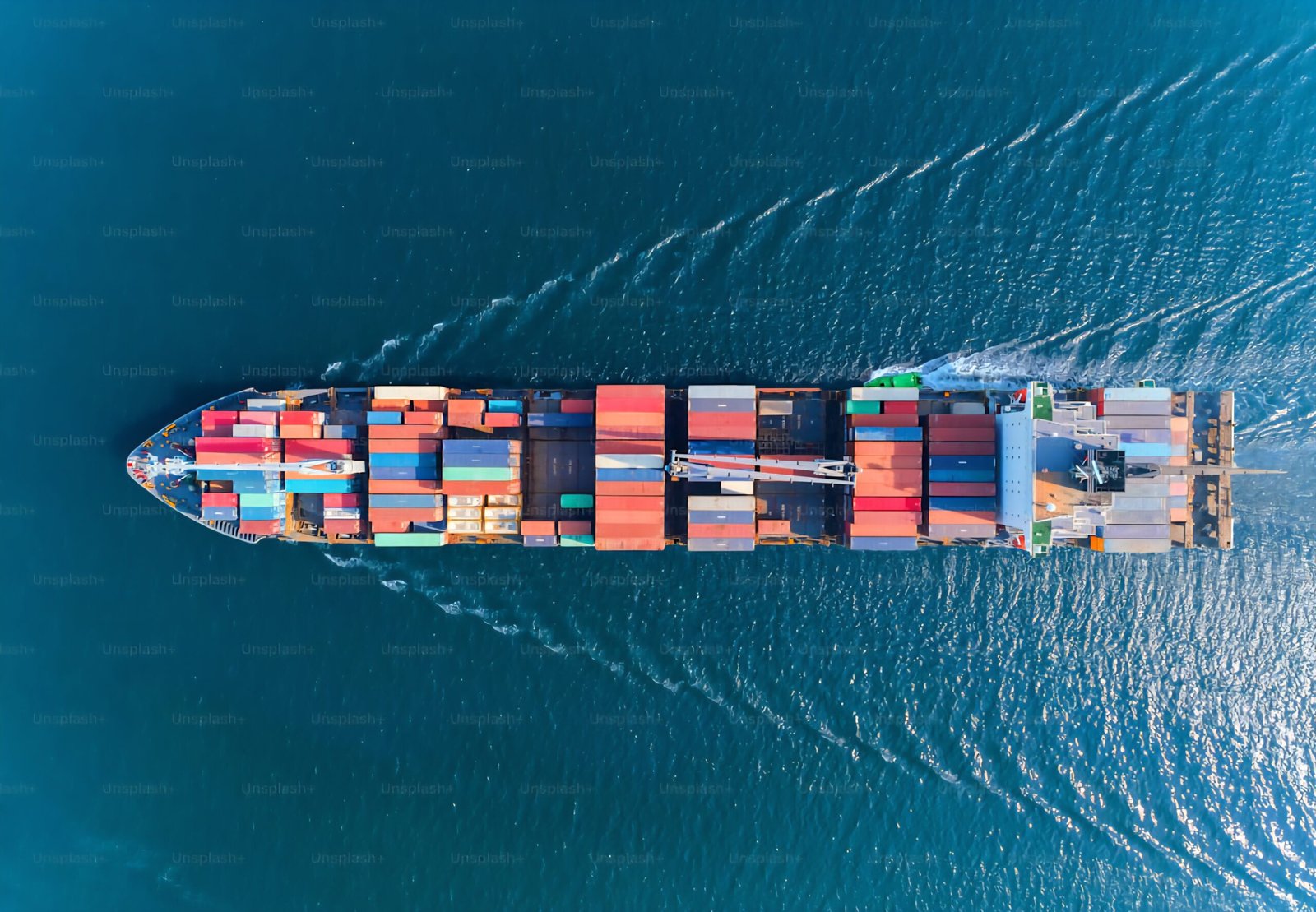 premium photo 1661879449050 069f67e200bd